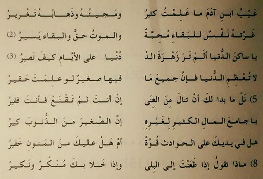 11032448_10153091382041577_7950670873565066438_n
