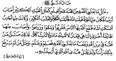 13325685_10153443920496577_4444857379637620114_n